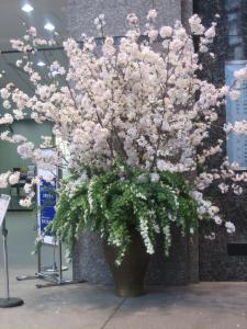 桜の活け込み｜「花好園」　（埼玉県川口市の花キューピット加盟店 花屋）のブログ
