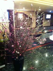 さくら！　桜！　SAKURA！｜「花好園」　（埼玉県川口市の花キューピット加盟店 花屋）のブログ