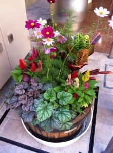 初秋の寄せ植えです｜「花好園」　（埼玉県川口市の花キューピット加盟店 花屋）のブログ