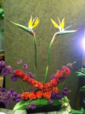 ウィークリーフラワー＆習作|「花好園」　（埼玉県川口市の花屋）のブログ