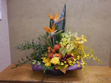 ストレチア|「花好園」　（埼玉県川口市の花屋）のブログ